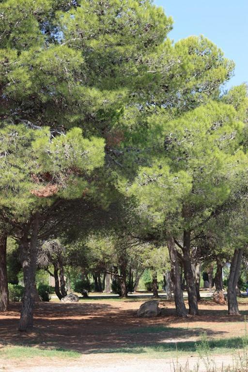 리우마르 Casa Mireia I Paula 빌라 외부 사진